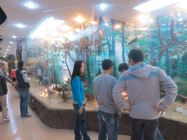 经济学院研究生组织参观校动植物标本展厅1